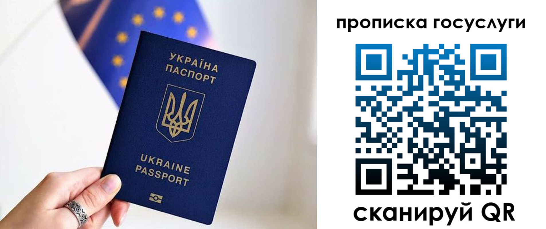 временная регистрация для всех в ЕАО